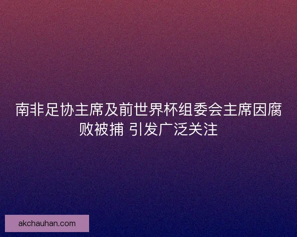 南非足协主席及前世界杯组委会主席因腐败被捕 引发广泛关注